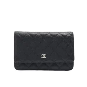 ALLU Chanel bag
