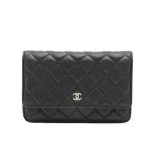 ALLU Chanel bag